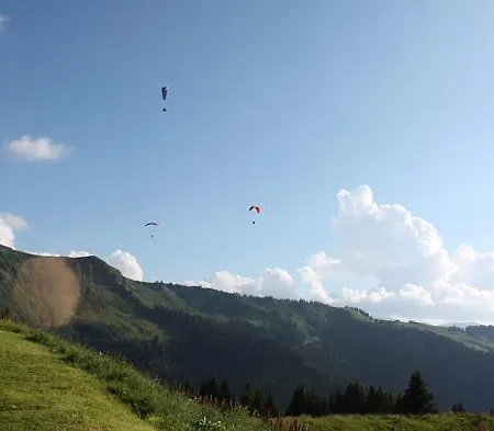 Appartement U Rifugiu *